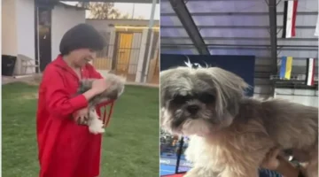 وفاة كلب في ثوانٍ تمنع صاحبتها من مواجهة الفقد وتقودها لتحدي قانوني حول حقوق الحيوانات 1